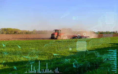 Maintainance Agriclutre contracts