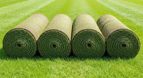 Supply Grass